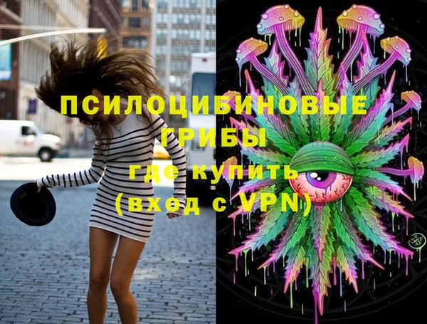 гашик Михайлов