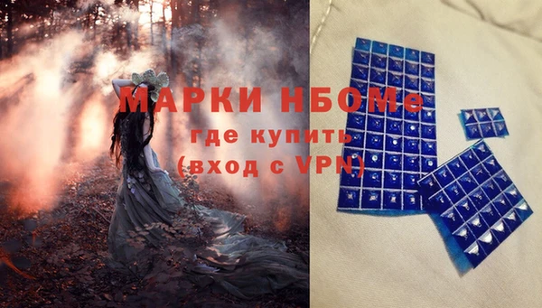гашик Михайлов