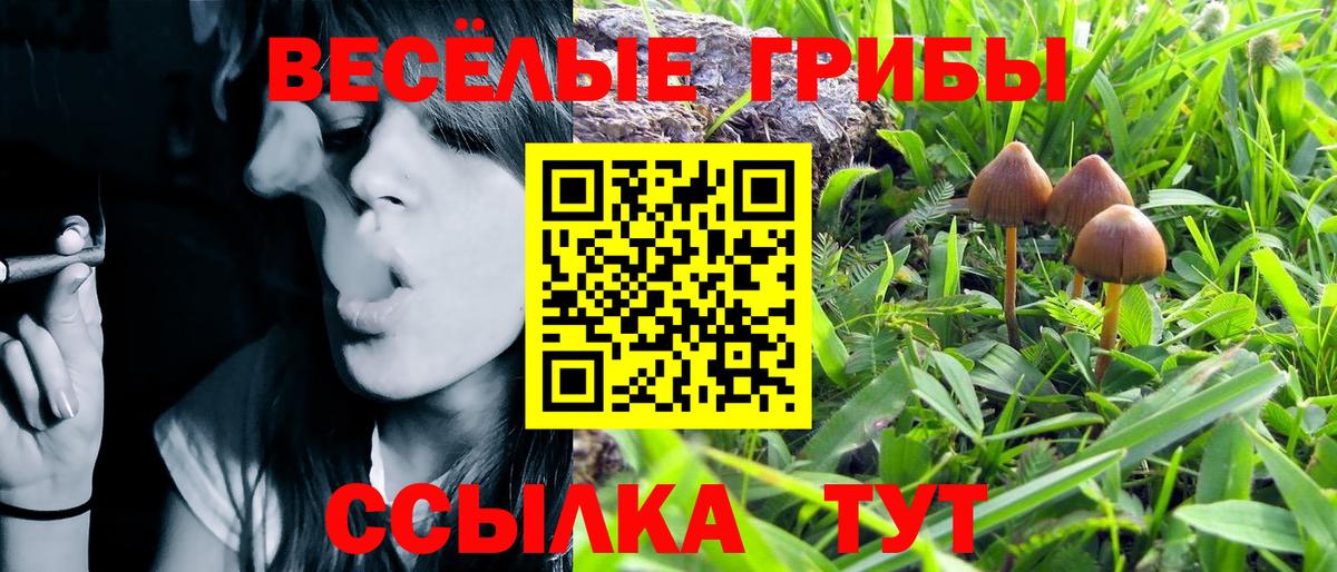 Псилоцибиновые грибы MAGIC MUSHROOMS  Псилоцибиновые грибы MAGIC MUSHROOMS  Урай  Вход с VPN 