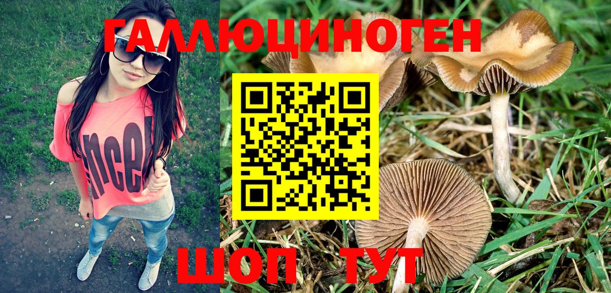 Галлюциногенные грибы прущие грибы Урай