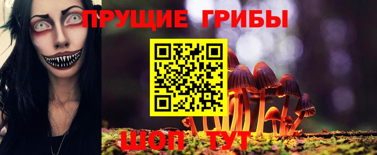 Галлюциногенные грибы Cubensis  Урай 